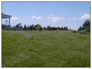 Landscape Services
