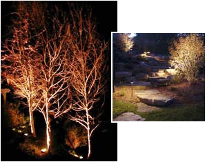 Landscape Services